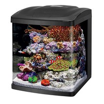 Coralife 수조 LED 바이오큐브 아쿠아리움 스타터 키트 사이즈 16 블랙 (100530106), 16 Gallon