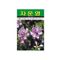Eurovision : 자운영 꽃 재래 씨앗 야생화 꽃씨 종자 정원 1000립 : Good Luck