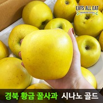 이츠올릿 시나노 골드 황금 꿀사과 5kg 노란 스위트 사과 경북 청송 밀양 얼음골, 시나노골드 가정용 대과 (10-12과)