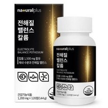 내츄럴플러스 전해질 밸런스 칼륨 포타슘 144g, 2개, 120정