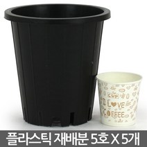 플라스틱 재배분 4호~7호(5개) - 화분 플분 양란 녹차 난화분 란화분 난재배분 양란화분 난재배 녹차재배분 긴화분, 02_청운_재배분(5호) X 5개