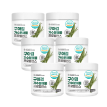 구아검 가수분해물 프리바이오틱스 유산균 분말 가루 200g 6통