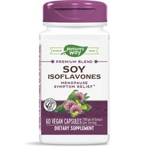 네이처스웨이 소이 이소플라본 100mg 베지 캡슐 60정, 기본, 1개