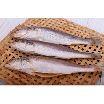 반건조생선 신선한 민어조기, 대 (550g/40cm), 1마리, 1개