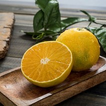 제주 황금향 고당도 감귤 산지직송 가정용 선물용, 황금향_1kg 소과_가정용