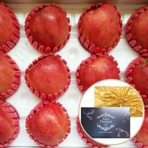 [장보리] 명절 고급 청송사과 선물세트 5kg (14-16과), 상세 설명 참조