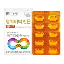 날송건강 종근당 비타민 B 비 군 b1 b2 b6 b12 활력 조혈 신경비타민 영양제 알약 케이스 포함, 3박스(6개월분)
