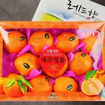 제주 레드향 선물세트 3kg (10-12과내외), 레드향 3kg 선물세트+보자기(색상랜덤)