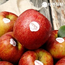 [정품인증]충남 예산 고당도 엔비사과 5kg 중과(19-20과), 단품