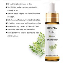 감성 캠핑용 저소음 전기 온풍기 히터 난로10ml with dropper 순수 천연 티, 10ml, 차나무