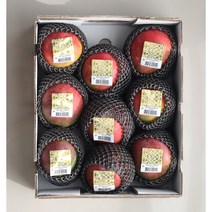 프리미엄 애플망고 달콤한 망고 선물세트 품질보장, 1박스, 항공직송 애플망고 2kg 특대(4-5과)