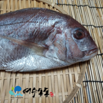도미/참돔 국내산 34cm 내외 500g내외 아시비 믹스간장 증정, 34/450g~480g 1마리