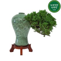 도자기랑나무랑 도자기분재 승진 개업선물, 눈향 청자매병(중) DS-271, 1개