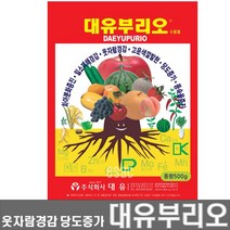 부리오(500g) 웃자람경감 당도증가 화아분아 착색