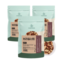 브라질너트 넛츠 먹는법 견과 페루산 브라질넛 500g 3팩, 3개