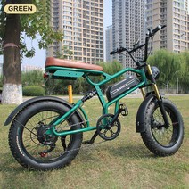 전기자전거 전기자전거렌탈 전기 자전거 복고풍 EBIKE 20*4.0 인치 48V 배터리 크로스 컨트리 오토바이, 01 green, 01 500W13Ah