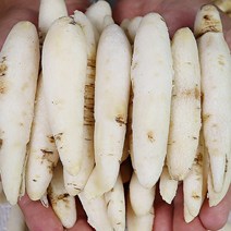 제주 깐더덕 500g 국산깐더덕 손질더덕, 깐더덕 실속 500g