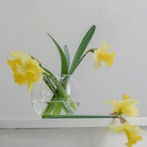 [캔들이케아] 국내산 프래그런스 오일 50ml 108종, 79_수선화