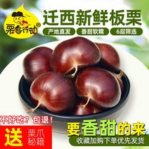 생밤 약단밤1 천서지역 햇밤 작은밤 허베이 알밤 하북, 5kg 중알(100원동전크기)+밤따개