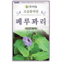 다이어즈 골든 케모마일 1g - 허브 허브씨 허브씨앗 씨 씨앗 캐모마일 꽃씨 꽃씨앗 Chamomile, 20_다농_페루꽈리(1g)