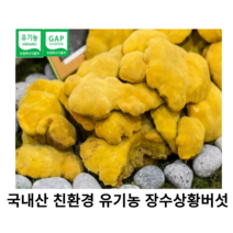 국내산 자연산 유기농 상황버섯 100g 국산 프리미엄 장수상황버섯 고급 특품 선물세트 포장