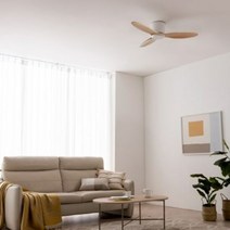 스피아노 샌디 미니 107cm DC 우드 실링팬 SCF-SW52070, 선택:바디:화이트/날개:내츄럴