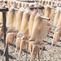 가락마켓국내산 반건조 오징어 파치(1kg 내외), 1개