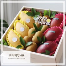추석명절 과일 선물세트(프리미엄4호), 1개