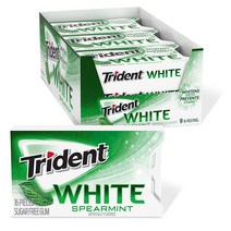 Trident 트라이던트 무설탕 화이트스피어민트 16개입 9팩