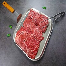 1++ 한우홈파티 패밀리세트 꽃등심 채끝등심 + 특수부위 (살치살 치마살 새우살 부채살 갈비살), 일반포장용