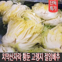 직접 재배하고 절인 강원도절임배추 고랭지배추 김장배추 20kg 출고일선택, 11월 30일 (수) 출발 12/1일 (목) 도착