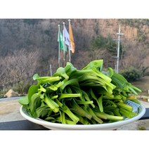 울릉도 명이생채