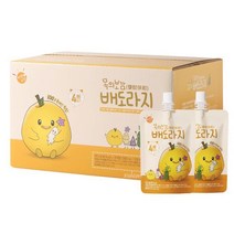 목의보감 국내산 배도라지즙 세트(100ml*30입) x 2세트