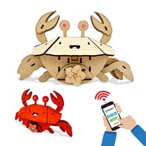 사물인터넷(IoT) 게로봇 만들기-SST