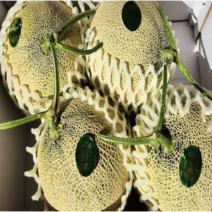 세지메론 멜론 세론이 특등급 고당도 선물세트 1수 2수 4수 선물세트, 특4수(5kg내외)