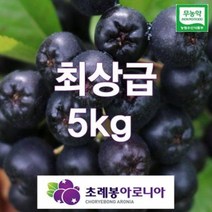 유기농 자연초생재배 초례봉아로니아냉동생과 최상급 5kg / 농장 직배송