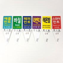 미스터허브 실내공기정화식물 허브 공기청정 미세먼지 제거 인테리어 화분, 5000개, 라벨_레몬밤