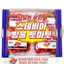 [토망고] 스테비아 토망고 방울토마토 500g 토마토 1kg, [토망고] 방울토마토 500g
