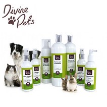 디바인펫츠 강아지/고양이겸용 모음, 2in1 샴푸컨디셔너250ml