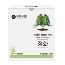 유비무환 정화 약도라지환 기관지 폐 목 좋은 음식, 150g, 1개