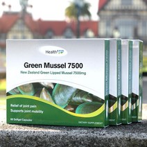 헬스업 그린머슬 초록잎홍합 7500 240캡슐, 4box, 7500ml