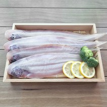 올리오 군산 반건조생선 말린생선 박대 서대 35cm내외 10마리, 단품