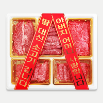 우마왕 마장동 한우 1++ 투뿔 구이용 선물세트 [리본메시지 감동두배], 1kg, (알찬)등심+등심+갈비살+특수부위3종