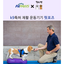 Fitpaws 핏포즈 강아지 훈련 노견 슬개골 디스크 허리 재활 치료 운동 짐볼 K9FITbone, 스몰 2세트, 블루