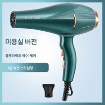 전기 드라이기 가정용 대풍 음이온 헤어 케어 무음 미용실 전용 고출력 속건 남성 드라이기, 녹색머리살롱블루라이트음이온헤어케어