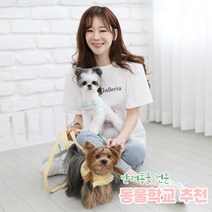 리토가토 러비 커스텀 캐릭터 강아지 하네스 + 리드줄 세트 옐로우 (컴퓨터 자수) 동물학교 추천