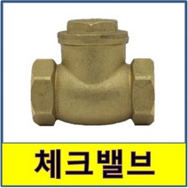 BS 황동 체크 밸브 15 20 25 32 40 50A 모음