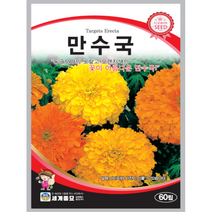 만수국 씨앗 60립 꽃씨