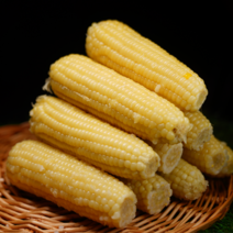 특상 사이즈 홍찰 백찰 옥수수 10개, 40개, 홍찰 옥수수 (소 10-15cm 내외)
