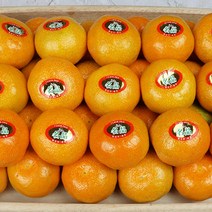 스테비아급하우스감귤 제주하귤 제주감귤3kg, 하우스귤 3kg